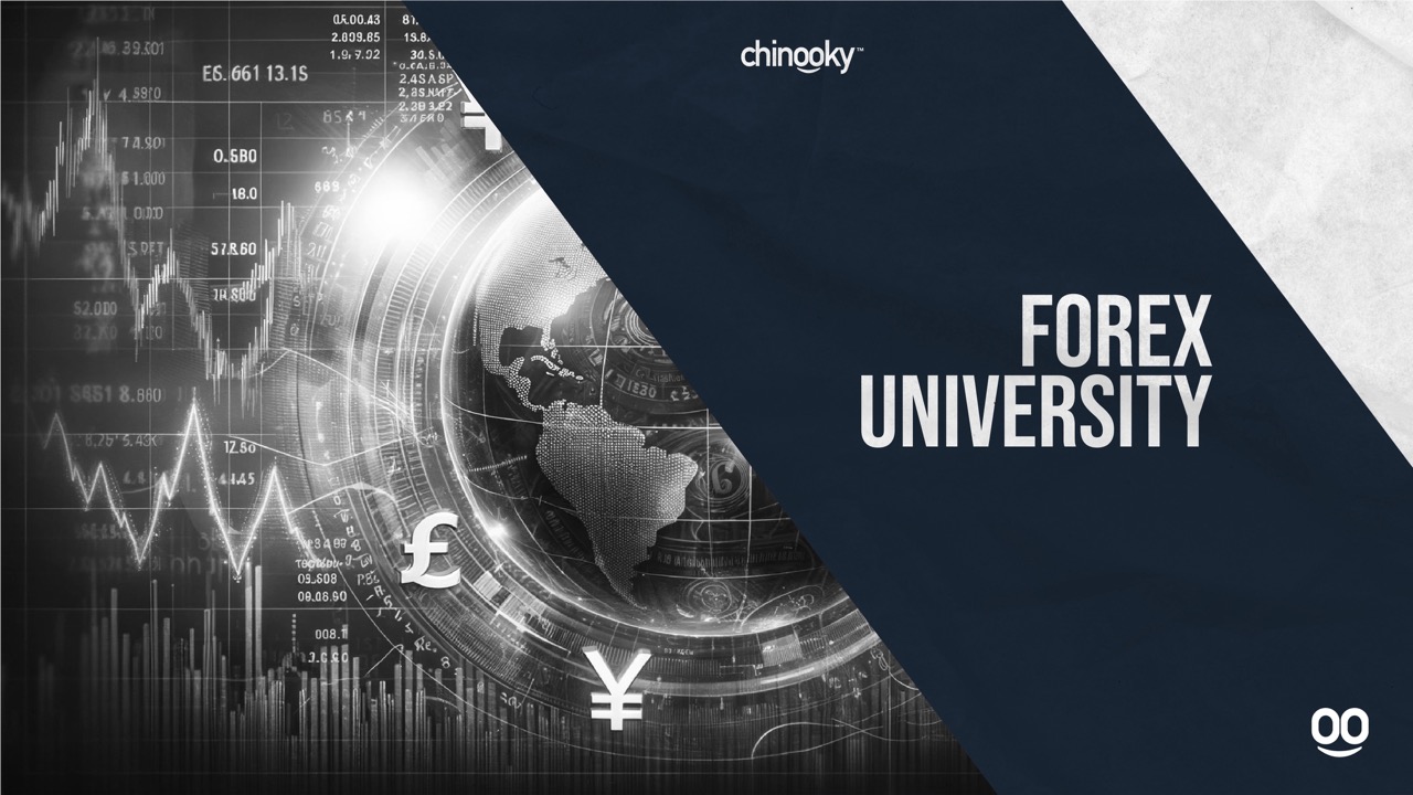 Forex University